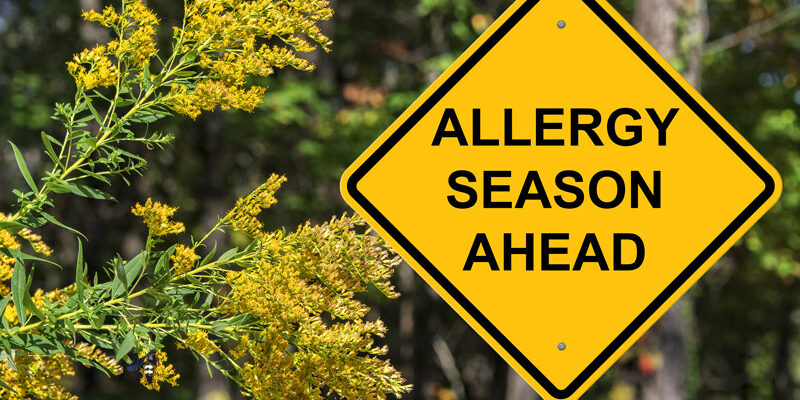 A yellow sign that says Allergy Season Ahead